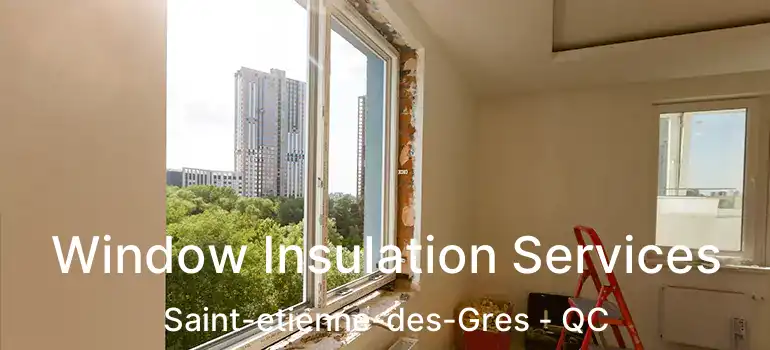  Window Insulation Services Saint-etienne-des-Gres - QC
