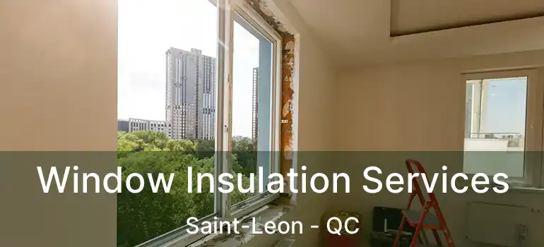  Window Insulation Services Saint-Leon - QC