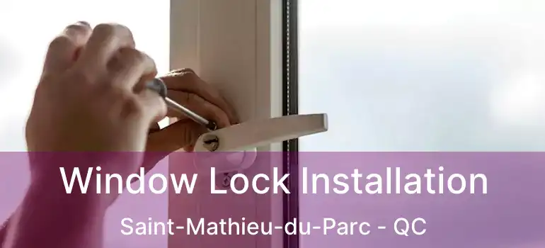  Window Lock Installation Saint-Mathieu-du-Parc - QC