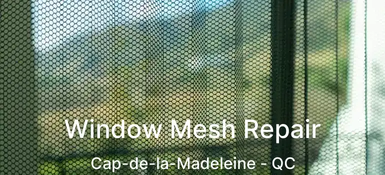  Window Mesh Repair Cap-de-la-Madeleine - QC