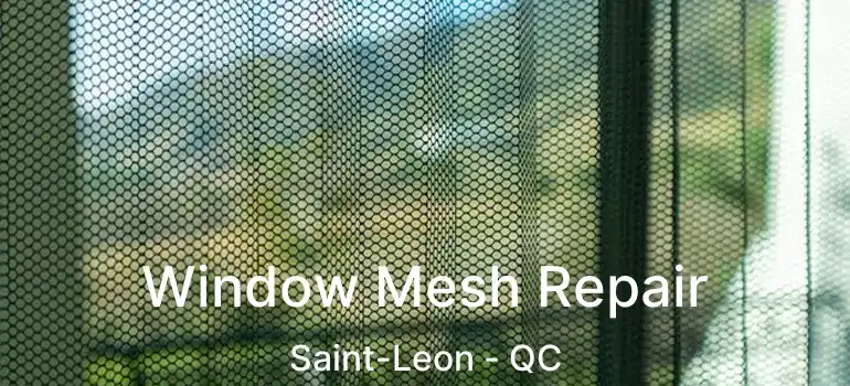  Window Mesh Repair Saint-Leon - QC