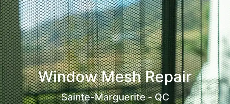  Window Mesh Repair Sainte-Marguerite - QC