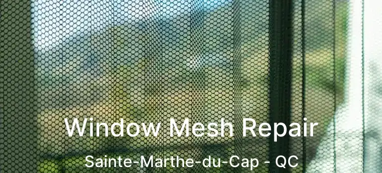  Window Mesh Repair Sainte-Marthe-du-Cap - QC