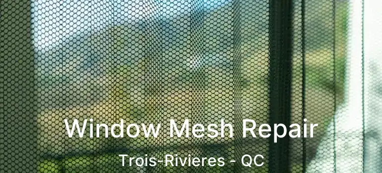  Window Mesh Repair Trois-Rivieres - QC