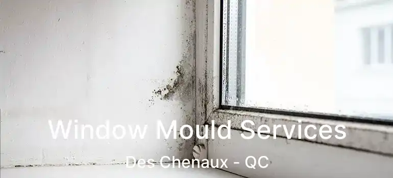  Window Mould Services Des Chenaux - QC