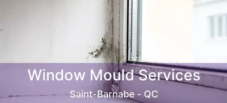 Window Mould Services Saint-Barnabe - QC