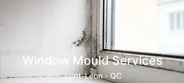  Window Mould Services Saint-Leon - QC