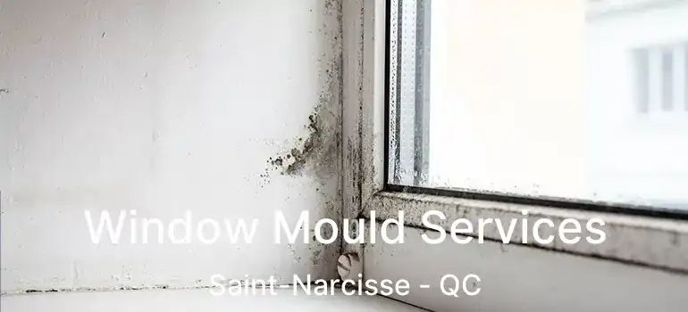  Window Mould Services Saint-Narcisse - QC