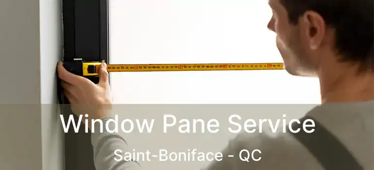  Window Pane Service Saint-Boniface - QC