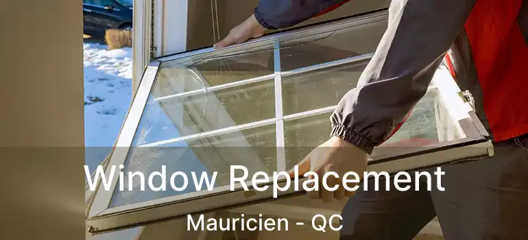  Window Replacement Mauricien - QC
