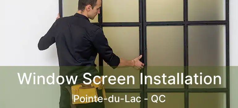  Window Screen Installation Pointe-du-Lac - QC