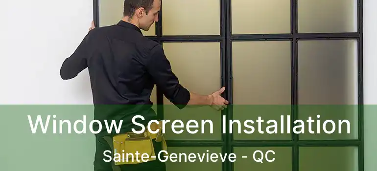  Window Screen Installation Sainte-Genevieve - QC