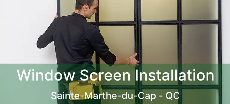  Window Screen Installation Sainte-Marthe-du-Cap - QC