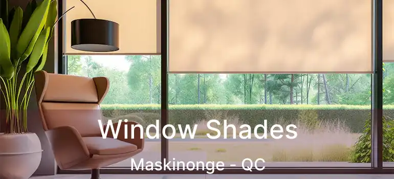  Window Shades Maskinonge - QC