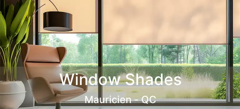  Window Shades Mauricien - QC
