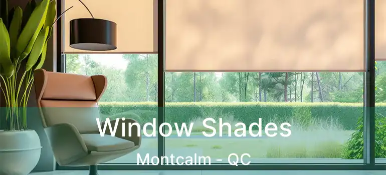 Window Shades Montcalm - QC