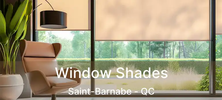  Window Shades Saint-Barnabe - QC
