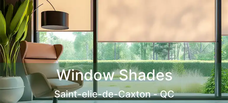  Window Shades Saint-elie-de-Caxton - QC
