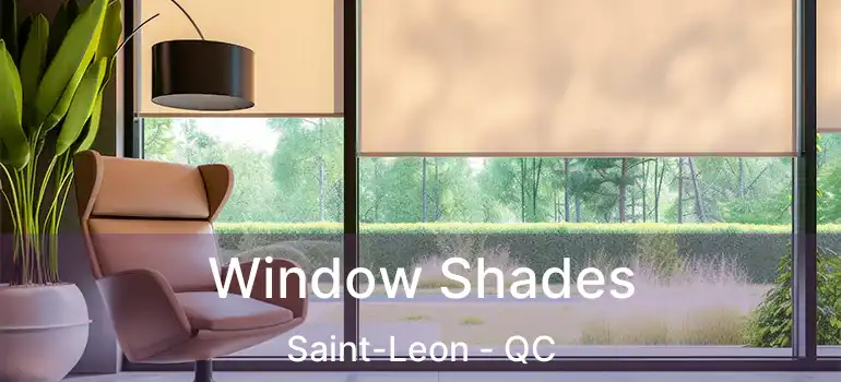  Window Shades Saint-Leon - QC
