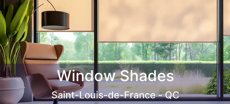  Window Shades Saint-Louis-de-France - QC