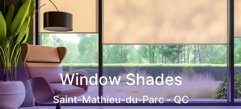  Window Shades Saint-Mathieu-du-Parc - QC