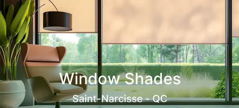  Window Shades Saint-Narcisse - QC