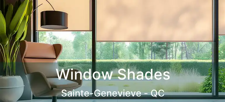  Window Shades Sainte-Genevieve - QC