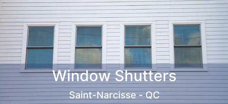  Window Shutters Saint-Narcisse - QC