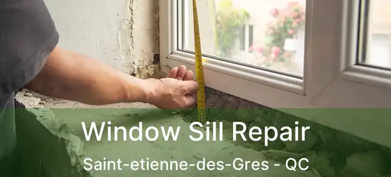  Window Sill Repair Saint-etienne-des-Gres - QC