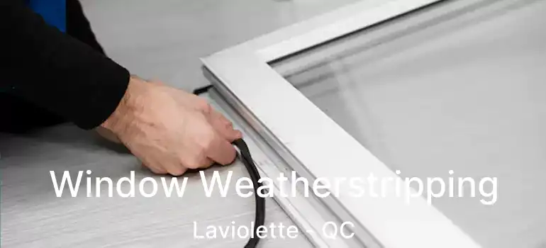  Window Weatherstripping Laviolette - QC