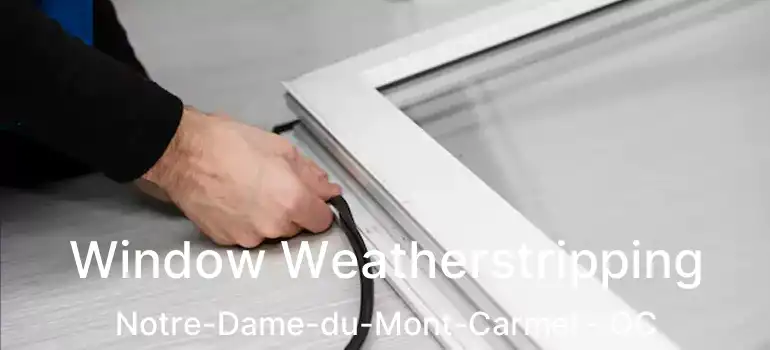  Window Weatherstripping Notre-Dame-du-Mont-Carmel - QC