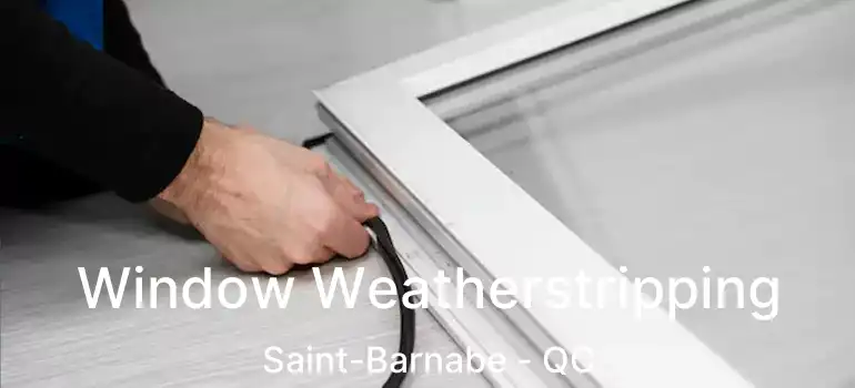  Window Weatherstripping Saint-Barnabe - QC