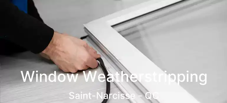  Window Weatherstripping Saint-Narcisse - QC