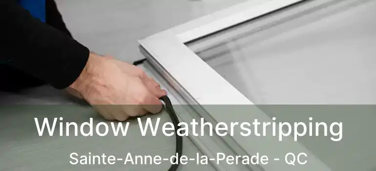  Window Weatherstripping Sainte-Anne-de-la-Perade - QC