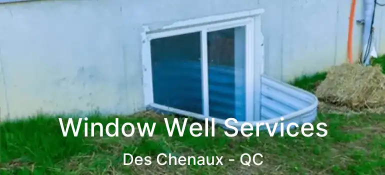  Window Well Services Des Chenaux - QC