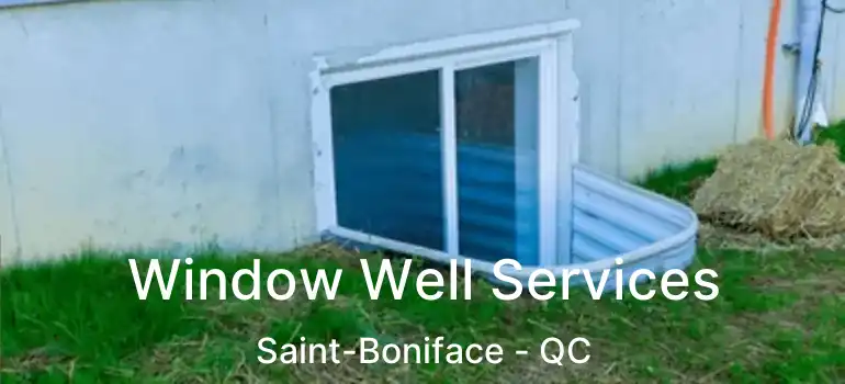  Window Well Services Saint-Boniface - QC