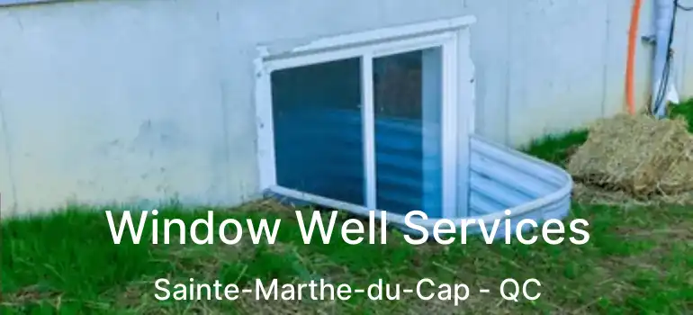  Window Well Services Sainte-Marthe-du-Cap - QC