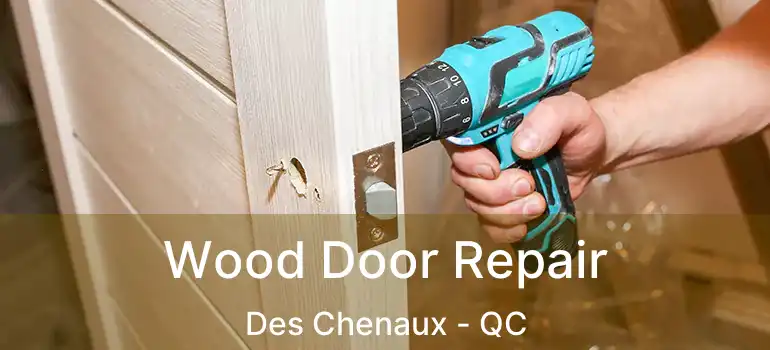  Wood Door Repair Des Chenaux - QC