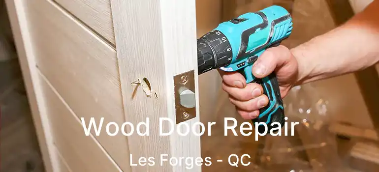  Wood Door Repair Les Forges - QC