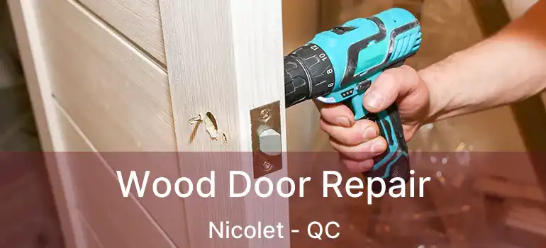  Wood Door Repair Nicolet - QC