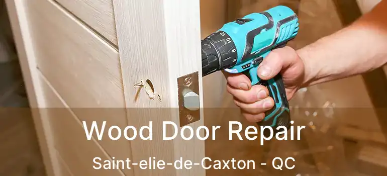 Wood Door Repair Saint-elie-de-Caxton - QC