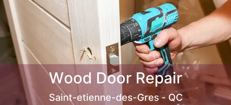  Wood Door Repair Saint-etienne-des-Gres - QC
