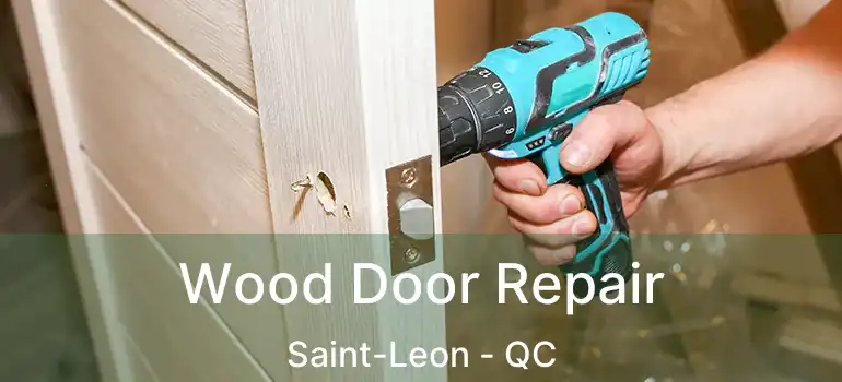  Wood Door Repair Saint-Leon - QC