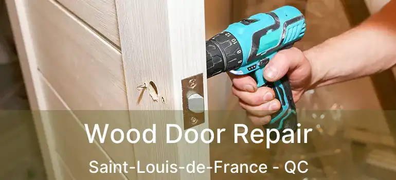  Wood Door Repair Saint-Louis-de-France - QC