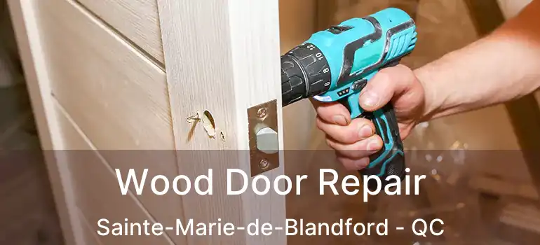  Wood Door Repair Sainte-Marie-de-Blandford - QC